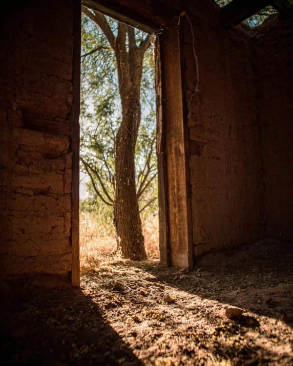 the sun shines through the window of an abandoned building, unsplash contest winner, under the soft shadow of a tree, red dusty soil, containing a hidden portal, taken with canon 5d mk4