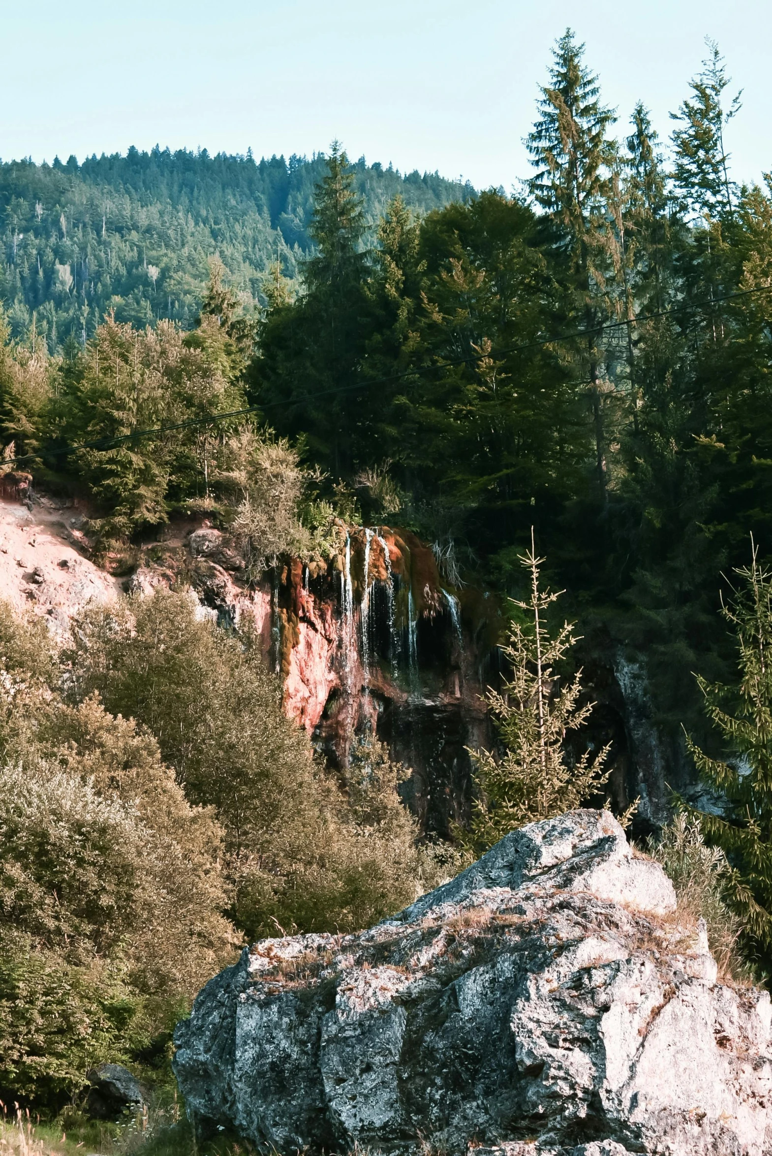 a train traveling through a lush green forest filled with trees, a picture, unsplash, les nabis, pink waterfalls, 2 5 6 x 2 5 6 pixels, redwood sequoia trees, falling off a cliff