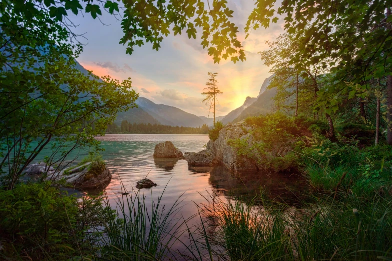 a large body of water surrounded by trees, pexels contest winner, romanticism, mountain sunrise, midsummer, youtube thumbnail, lush surroundings