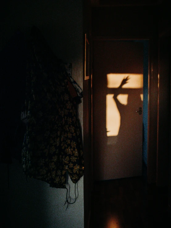 the shadow of a person standing in front of a door, inspired by Elsa Bleda, pexels contest winner, happening, in my bedroom, eery light, holding up a night lamp, exiting from a wardrobe