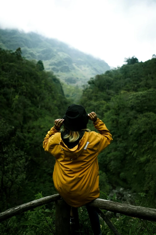 a person standing on top of a wooden fence, inspired by national geographic, trending on unsplash, sumatraism, wearing green jacket, mountainous jungle setting, yellow raincoat, looking from behind