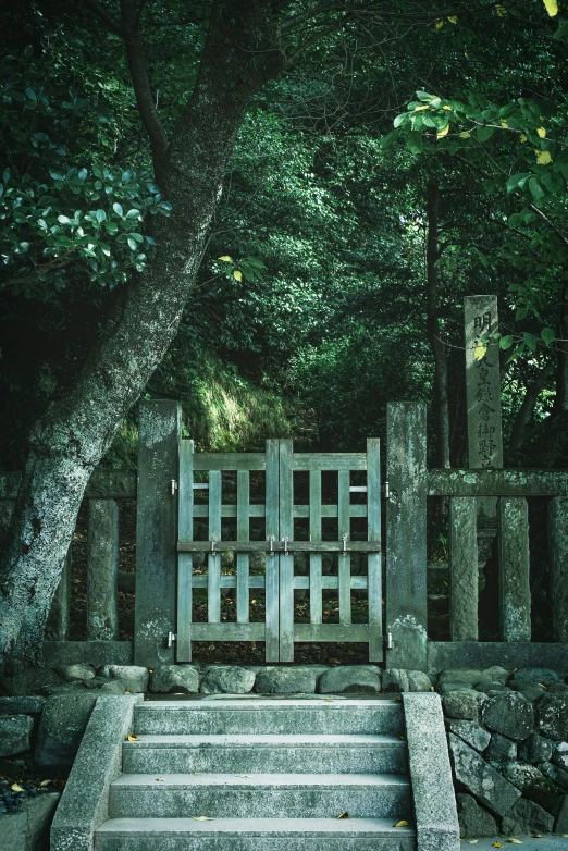 a set of stairs leading up to a gate, unsplash, mingei, nestled in a forest, deep green, gate, paul barson