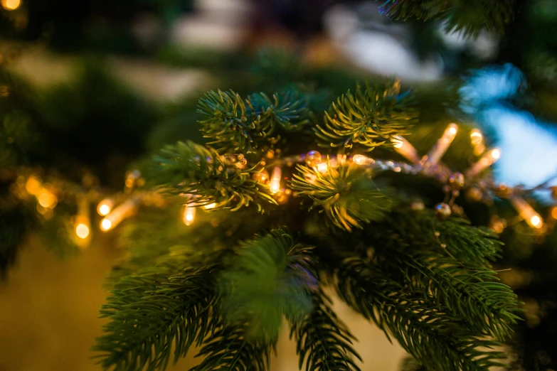 a close up of a christmas tree with lights, by Adam Marczyński, pexels, hurufiyya, multiple stories, natural morning light, gold and green, soft light - n 9