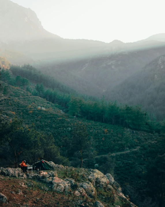 a couple of people sitting on top of a mountain, in the middle of a forest