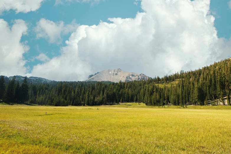 a grassy field with a mountain in the background, a picture, unsplash, les nabis, forest clearing, central california, yellow clouds, multiple stories