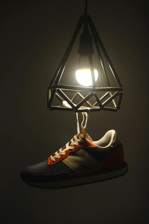 a pair of shoes hanging from a light fixture, inspired by Lubin Baugin, trapped on a hedonic treadmill, lamp ( ( ( gym ) ) ) ), nest, substance designer