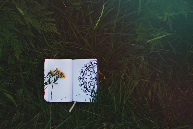 an open book sitting on top of a lush green field, a drawing, pexels contest winner, land art, black box on the field flowers, sketch tattoo, a high angle shot, ((portrait))