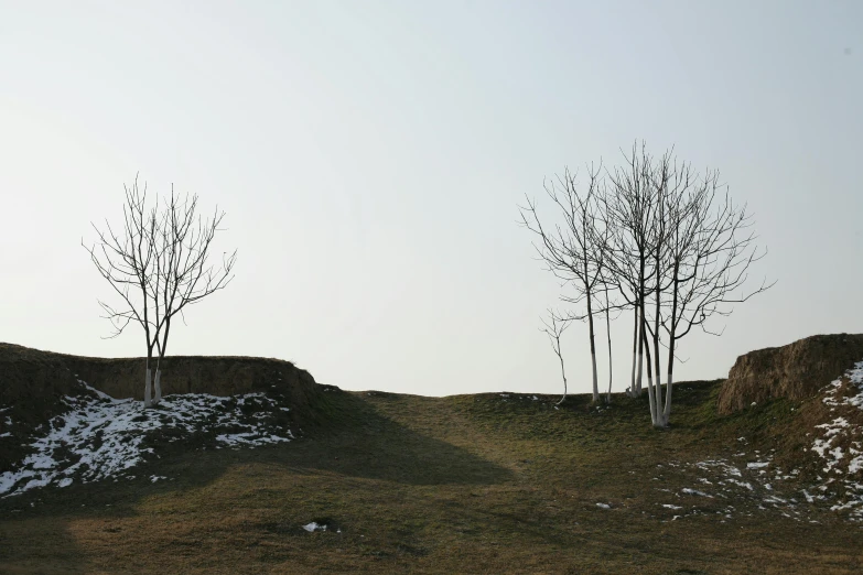 a couple of trees sitting on top of a hill, by Attila Meszlenyi, land art, zezhou chen, white wall complex, (3 are winter, archeological discover