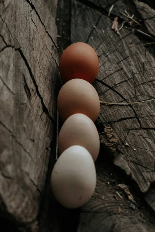 a group of eggs sitting on top of a piece of wood, in a row