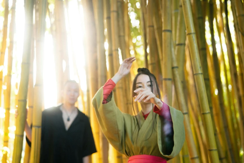 a woman in a kimono standing in front of a bamboo forest, unsplash, renaissance, medium shot of two characters, emanating magic from her palms, sun behind him, ( ( theatrical ) )