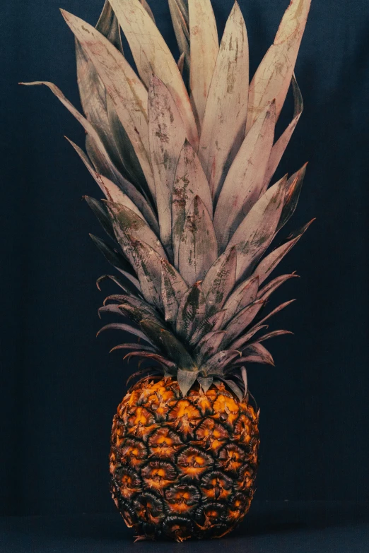 a close up of a pineapple on a table, an album cover, inspired by Elsa Bleda, hyperrealism, tall, ilustration, dark photo, extremely hyperdetailed