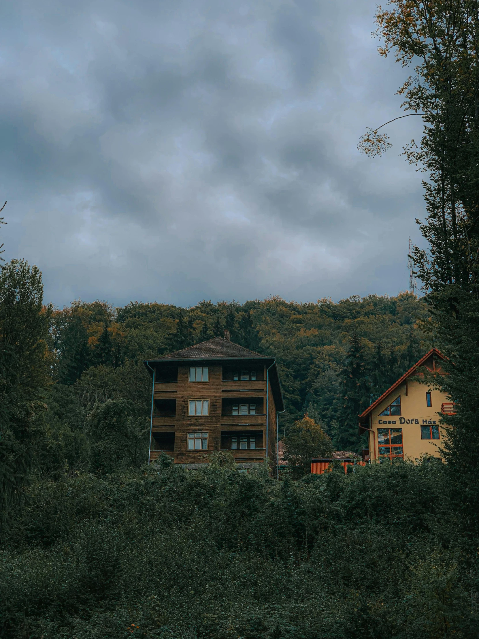 a couple of houses sitting on top of a lush green hillside, inspired by Elsa Bleda, pexels contest winner, gloomy forest, overcast! cinematic focus, haunted kodachrome, late summer evening