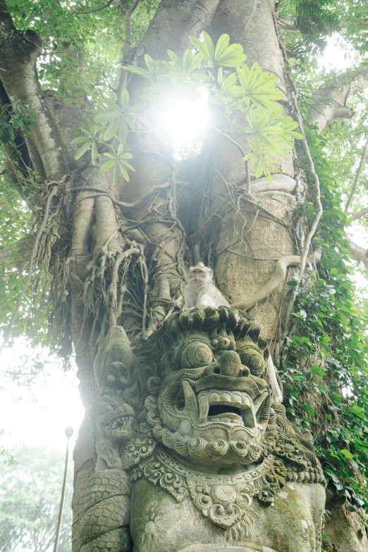 a statue that is in the middle of a tree, sumatraism, monkey king, over-shoulder shot, lots of light, jungle vines