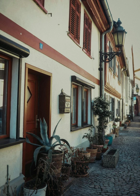 a narrow cobblestone street lined with potted plants, inspired by Albert Paris Gütersloh, renaissance, white, warm cosy colors, photo”, cottagecore hippie