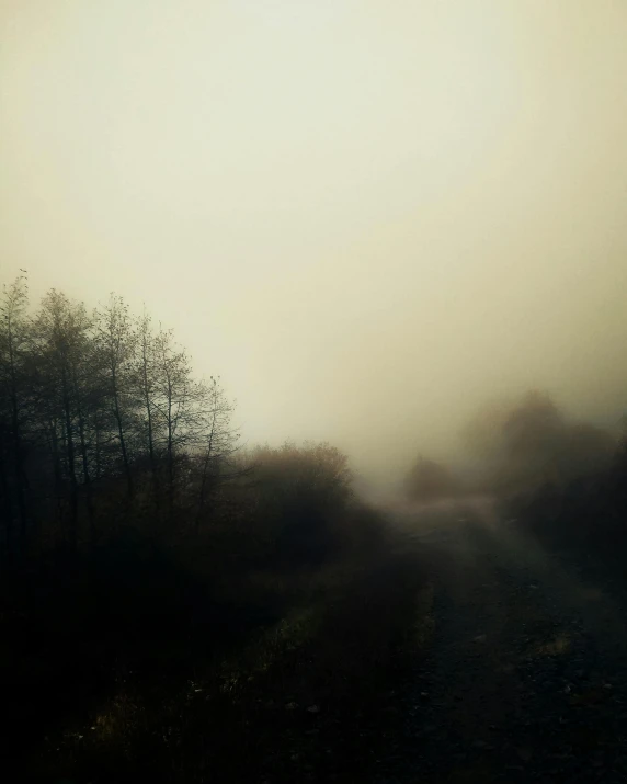 a dirt road surrounded by trees on a foggy day, an album cover, inspired by Elsa Bleda, unsplash, romanticism, pale beige sky, dark misty foggy valley, ((mist)), blurry