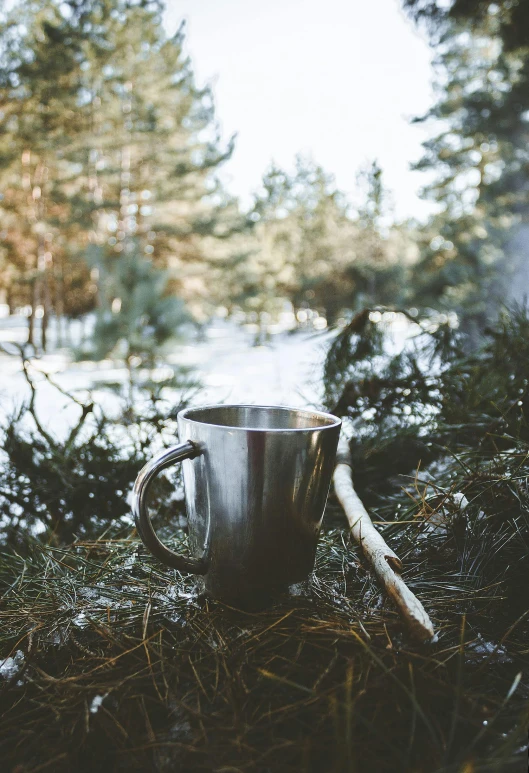 a cup of coffee sitting on top of a snow covered ground, forest picnic, stainless steel, chillhop, birch