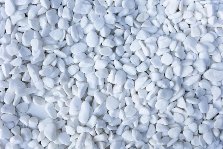 a close up of a pile of white rocks, an ambient occlusion render, inspired by Coppo di Marcovaldo, unsplash, renaissance, salvia, 15081959 21121991 01012000 4k, gardening, bird view