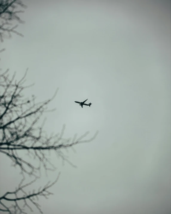 a plane that is flying in the sky, an album cover, inspired by Elsa Bleda, pexels contest winner, postminimalism, gray sky, trending on vsco, a park, 🚿🗝📝