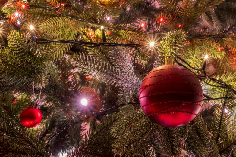 a close up of a christmas tree with ornaments, by Jakob Gauermann, pexels, renaissance, detailed red lighting, 15081959 21121991 01012000 4k, rectangle, high resolution image