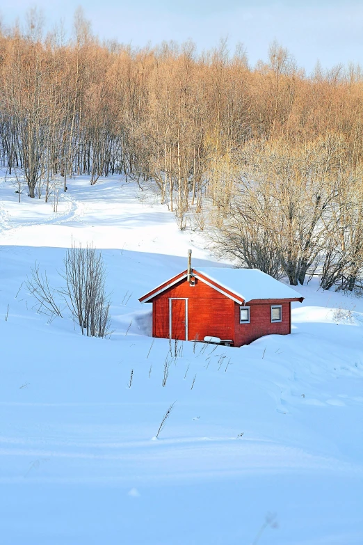 a red cabin sitting in the middle of a snow covered field, by Haukur Halldórsson, 4k photo”, full frame image, small