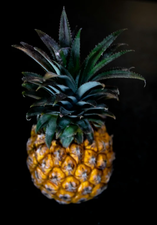 a close up of a pineapple on a table, a portrait, by Adam Marczyński, black backdrop, color photo, portrait of small, full frame image