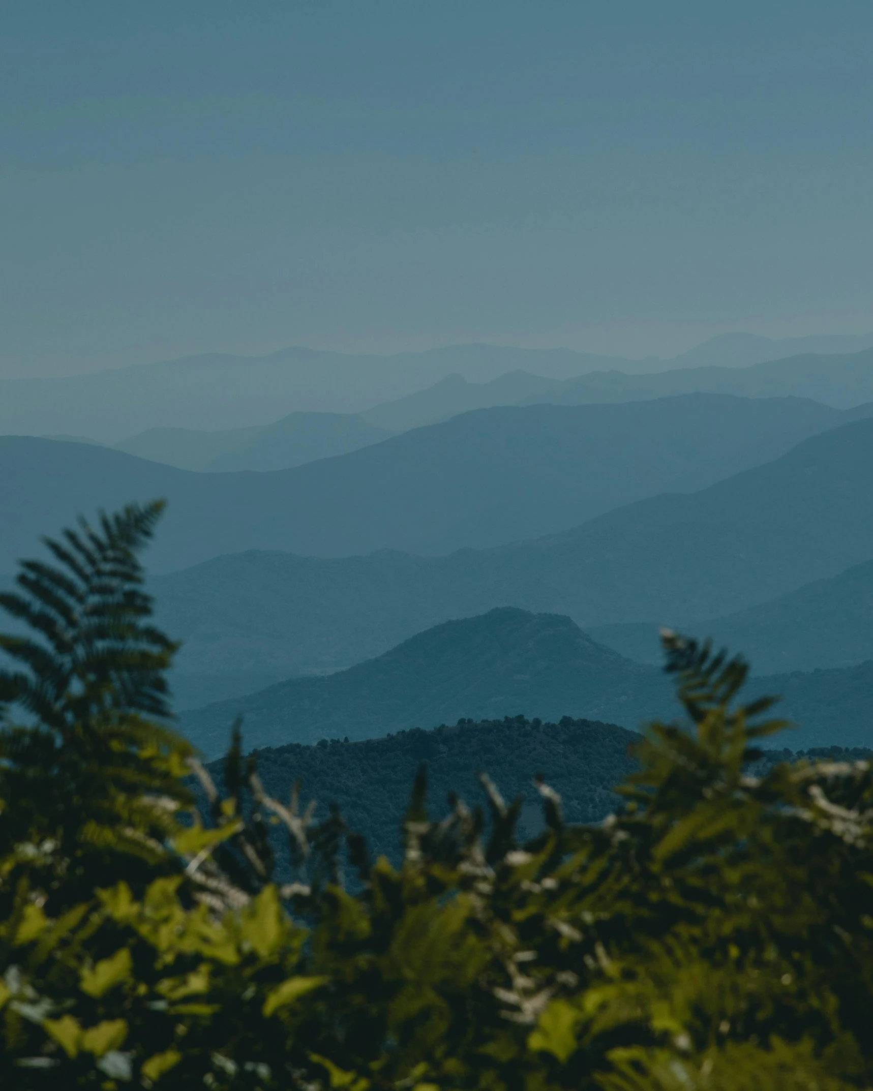 a view of the mountains from the top of a hill, by Morgan Russell, unsplash contest winner, renaissance, green and blue tones, profile image, bushes in the background, thumbnail