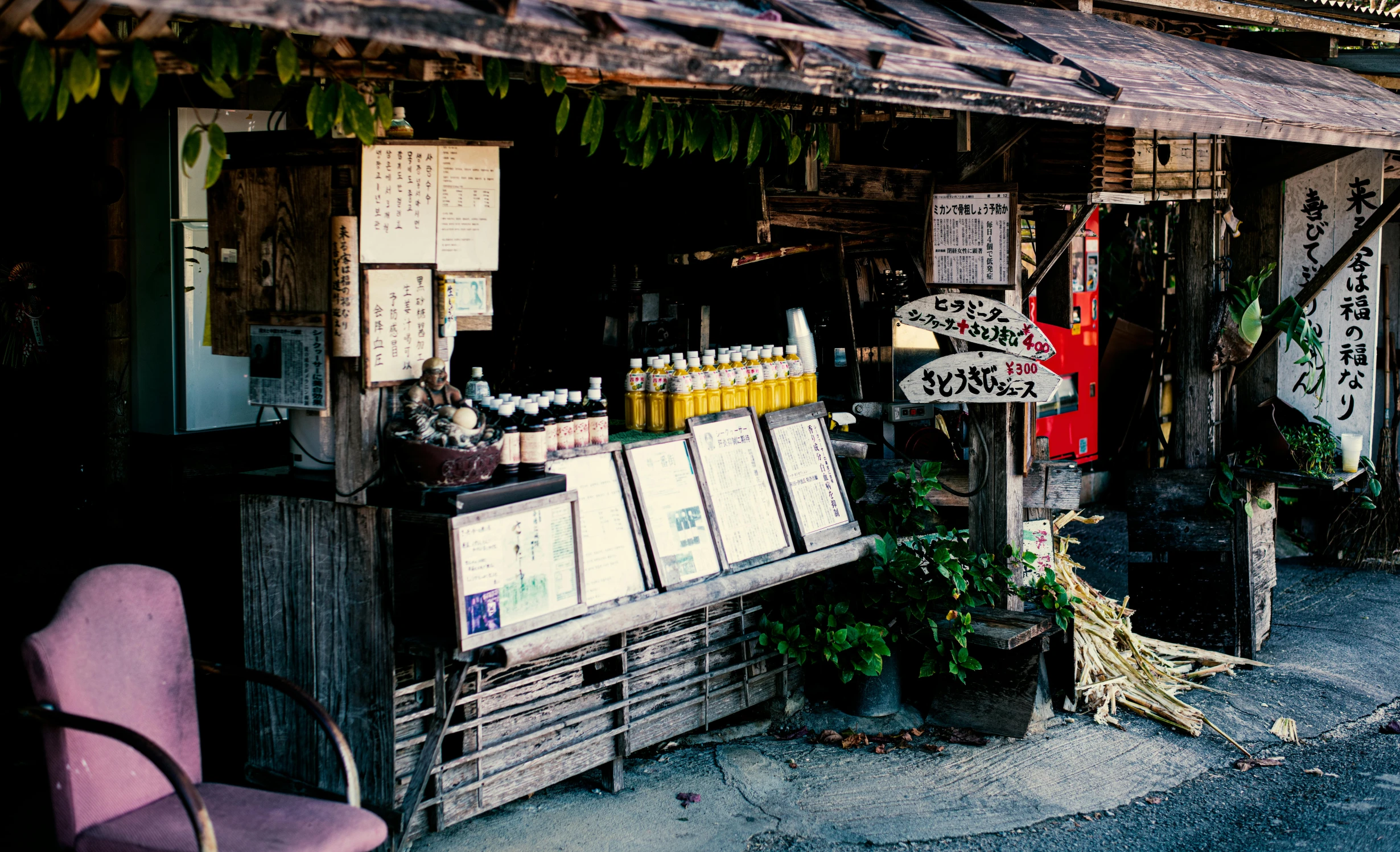 a store sitting on the side of a road, a picture, unsplash, mingei, rustic setting, portrait image, food stall, fujicolor sample