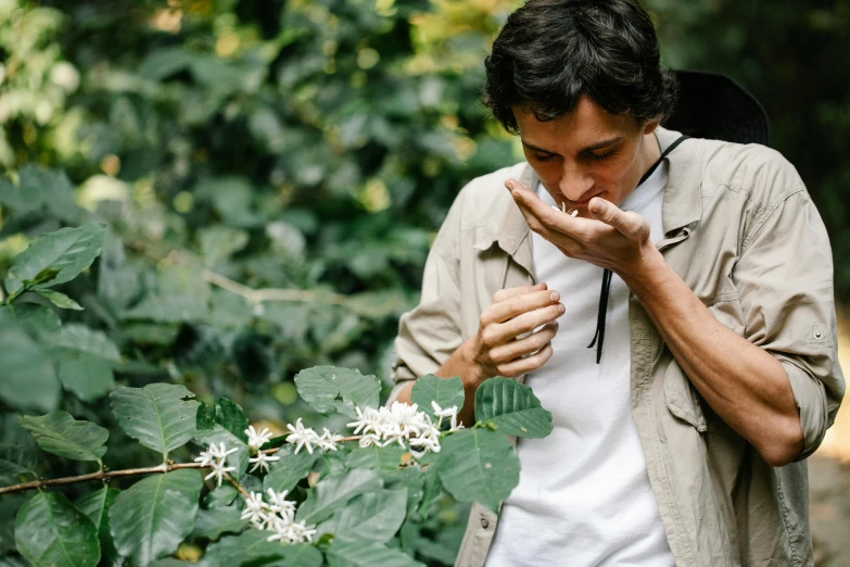 a man walking through a lush green forest, a portrait, by Daniel Lieske, hurufiyya, amongst coffee beans and flowers, licking out, jasmine, holding an epée