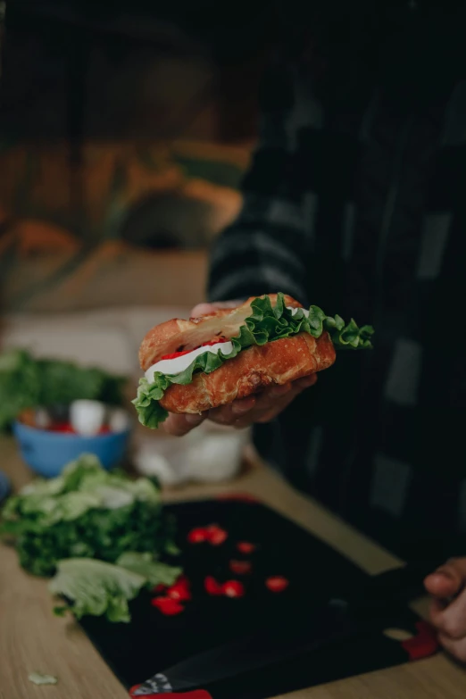 a person holding a sandwich over a cutting board, pexels contest winner, fried chicken, highly stylized, salmon khoshroo, indoor shot