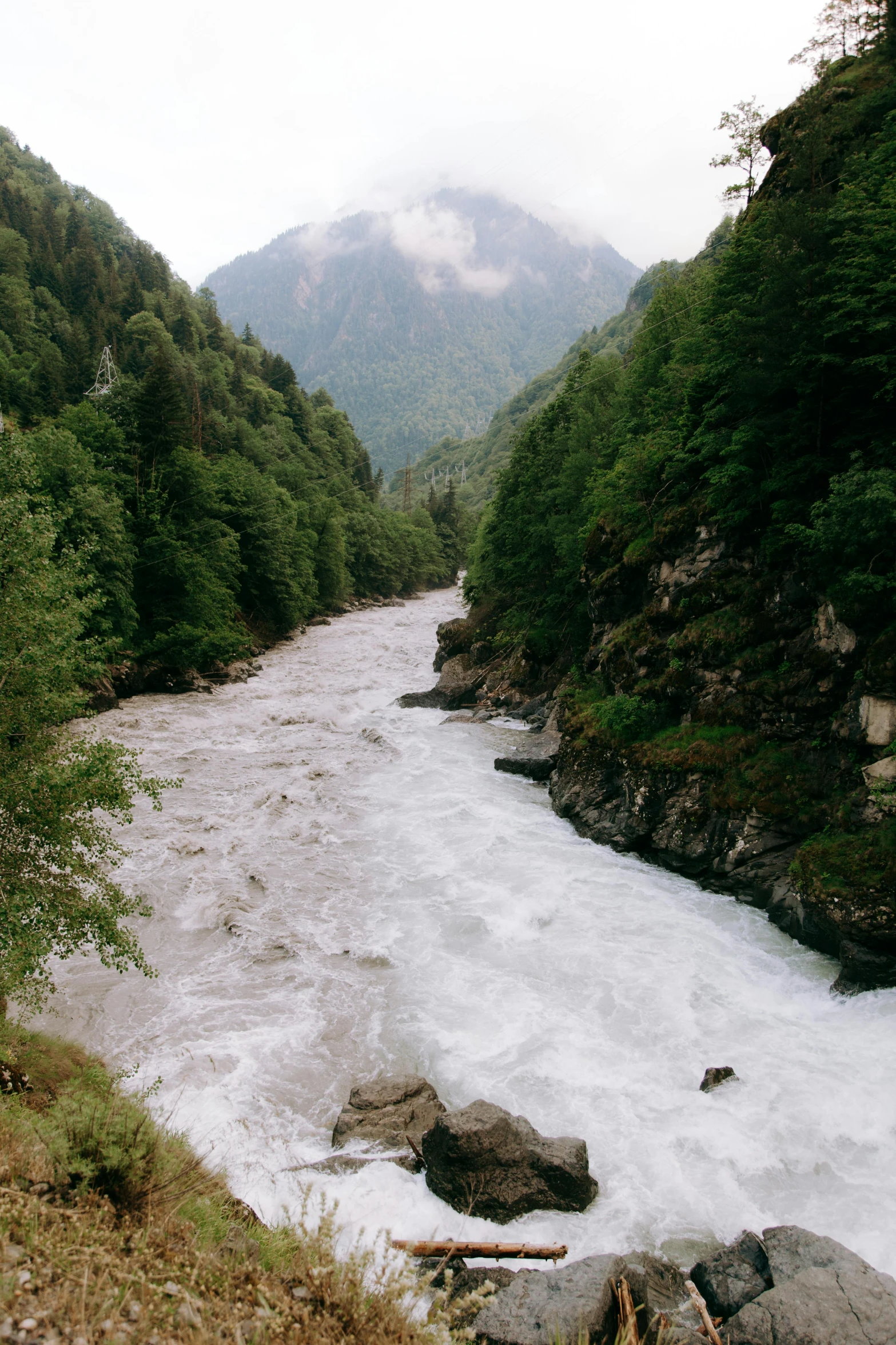 a river running through a lush green forest, by Muggur, hurufiyya, in 2 0 0 2, white water rapids, chamonix, brown