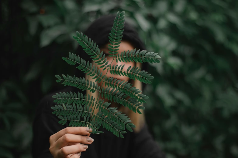 a person holding a plant in front of their face, trending on pexels, dark green leaves, profile image, symmetrical image, retro stylised