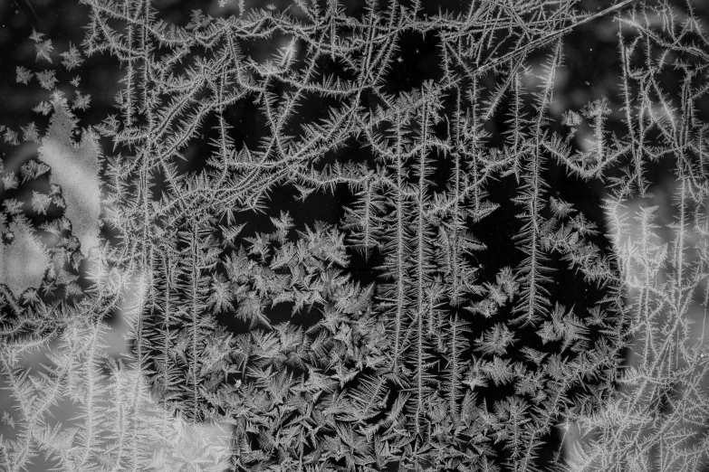 a black and white photo of frost crystals, inspired by Arthur Burdett Frost, pexels, window glass reflecting, snowfall at night, 🧒 📸 🎨, intricate ultra fine detail