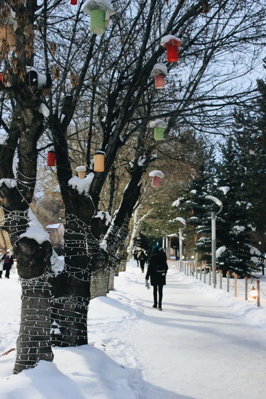 a group of people walking down a snow covered street, hanging trees, located in hajibektash complex, colorful lanterns, university