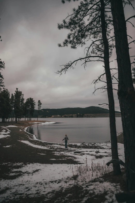 a person standing on a beach next to a body of water, pine forests, cold scene, gray skies, lakes