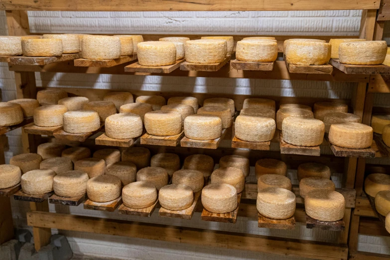 a shelf filled with lots of cheese on top of wooden shelves, very round, multiple wide angles, exterior shot, très détaillé