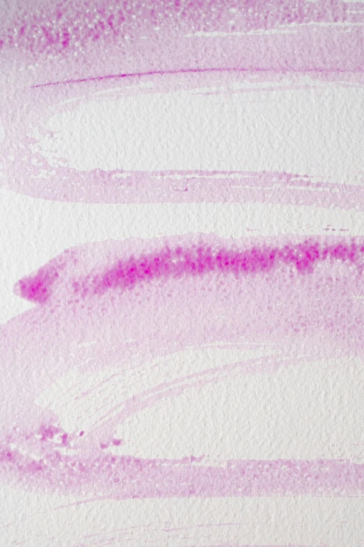 a close up of a pink stain on a piece of paper, a watercolor painting, ((purple)), detailed product image, purple light, detail shot