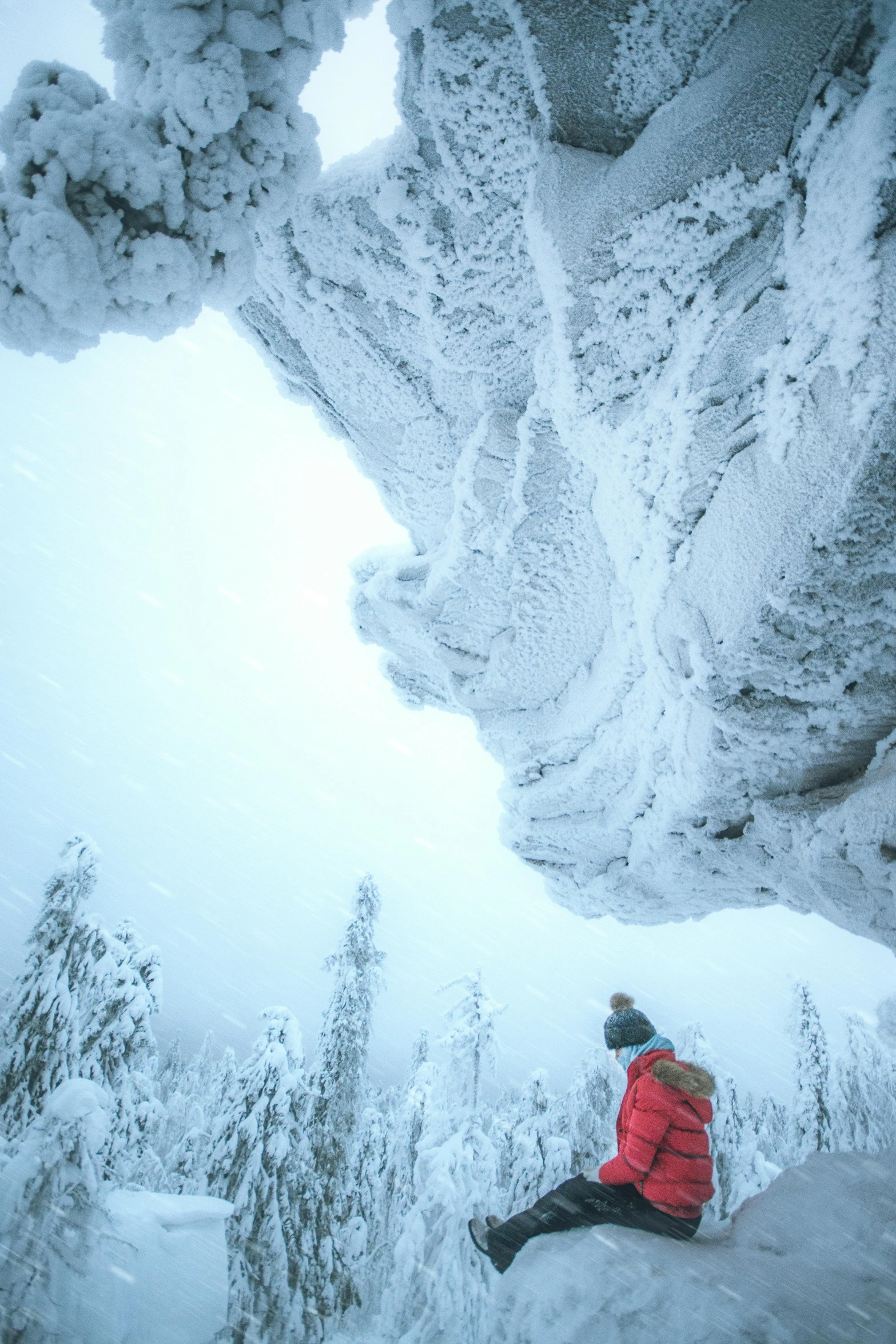 a person sitting on top of a snow covered hill, cavern ceiling visible, northern finland, nat geo, big trees