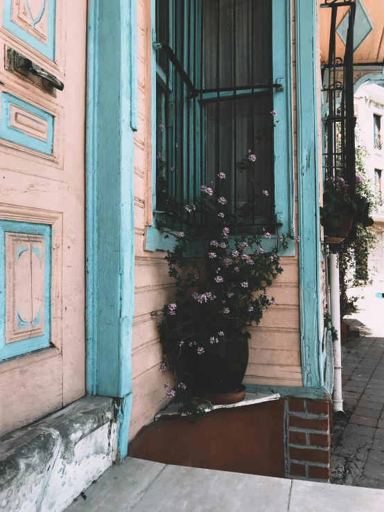a potted plant sitting on the side of a building, a colorized photo, inspired by Elsa Bleda, trending on unsplash, chile, wooden houses, 🤠 using a 🖥, doorway