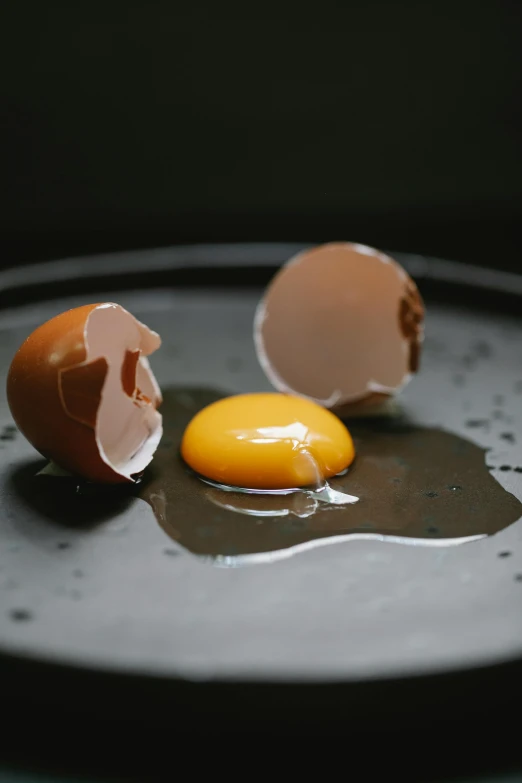 a broken egg sitting on top of a black plate, a picture, unsplash, oozing bile ), ground-breaking, illustration », medium close up shot