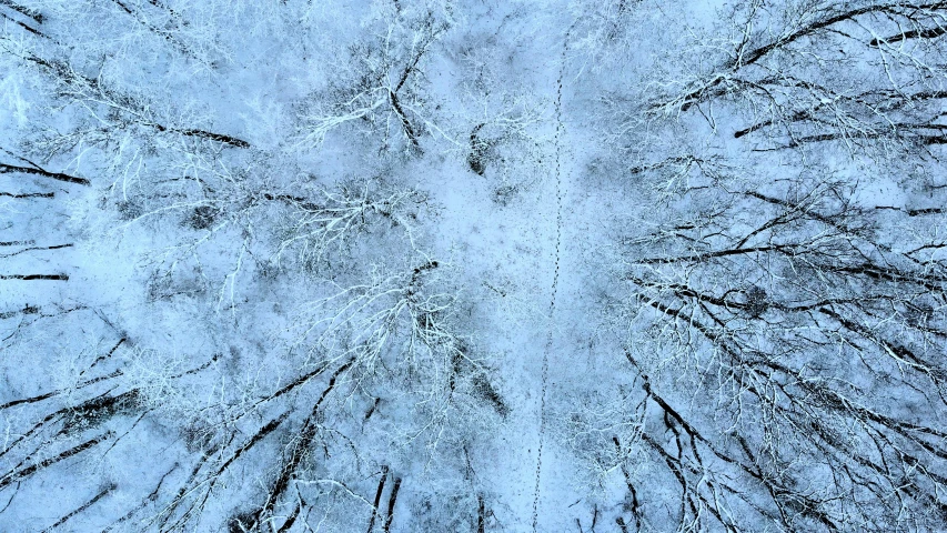 an aerial view of a snow covered forest, an album cover, by Jaakko Mattila, pexels contest winner, low angle looking up, (3 are winter, thumbnail, taken on iphone 14 pro