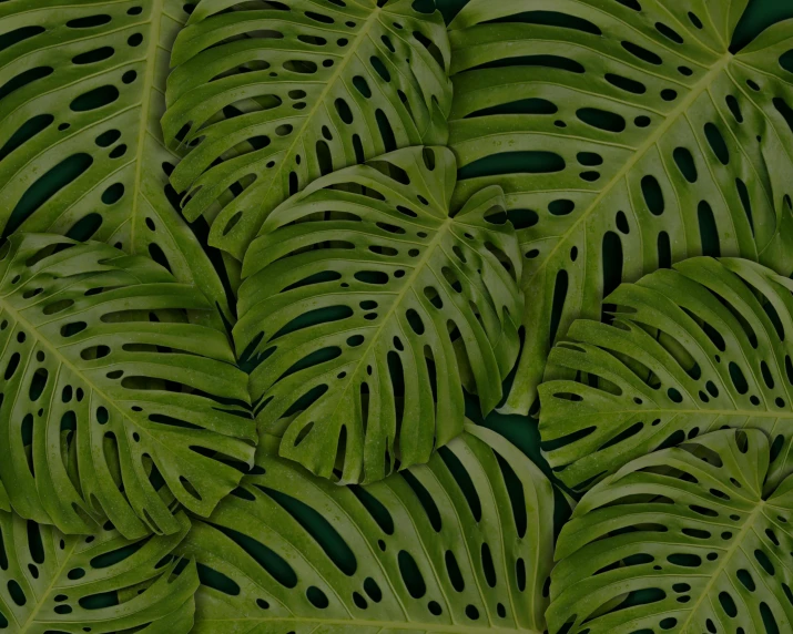 a close up of a bunch of green leaves, 🦑 design, background image, giant raindorps, an ai generated image