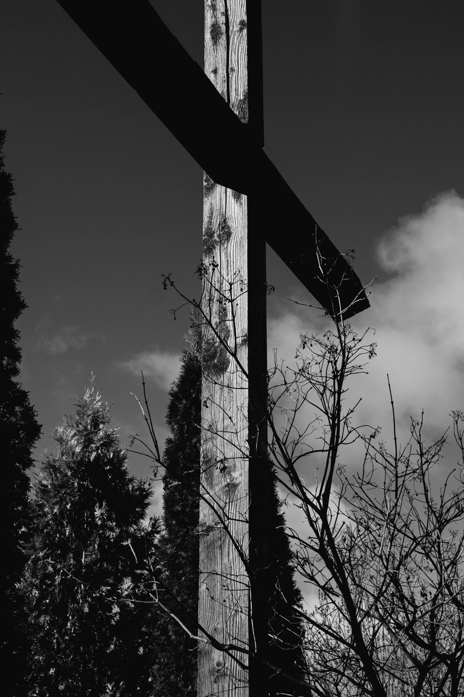 a black and white photo of a wooden cross, a black and white photo, unsplash, a tall tree, low-angle, winter sun, neon cross