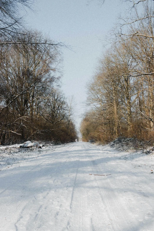 a man riding skis down a snow covered slope, by Daarken, flickr, road in a forest road, hannover, 8 k wide shot, cannon snow covered trees