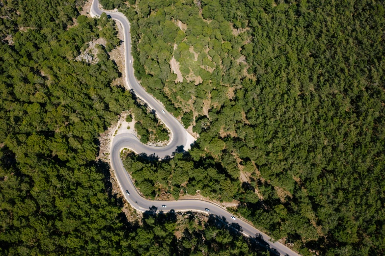 a winding road in the middle of a forest, by Alexis Grimou, dezeen, fan favorite, cyprus, birdeye