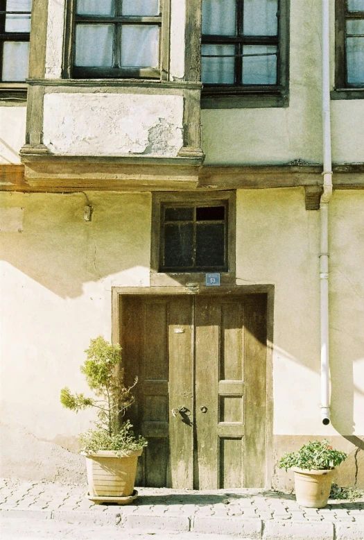 a building with potted plants in front of it, shin hanga, faded worn, zdzislaw, color photograph, door