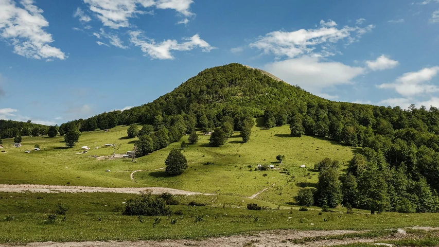 a herd of sheep grazing on a lush green hillside, by Muggur, pexels contest winner, les nabis, forest on the horizont, abbondio stazio, panoramic photography, summer landscape with mountain