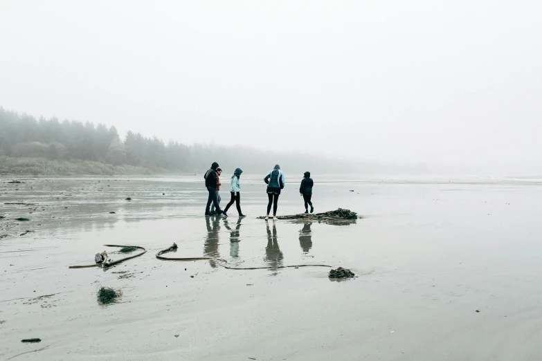 a group of people standing on top of a sandy beach, by Jessie Algie, pexels contest winner, minimalism, haida, foggy day outside, profile image, about to step on you