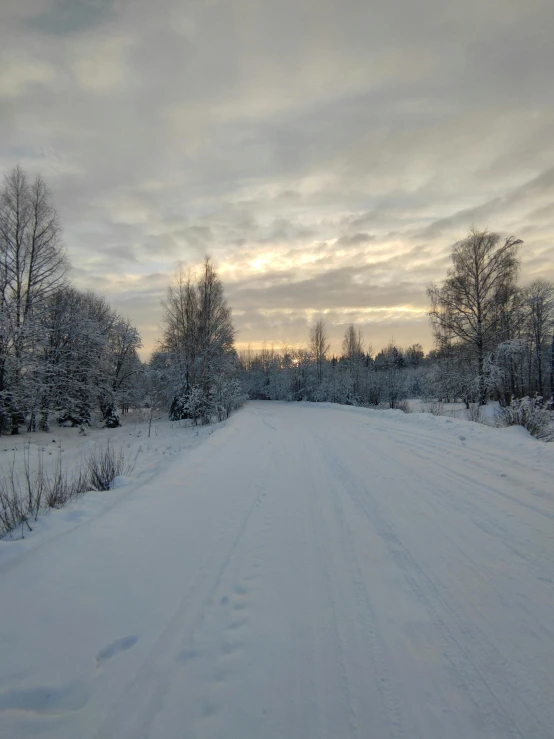 a snow covered road in the middle of a forest, on a road