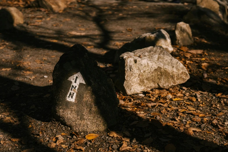 a large rock sitting in the middle of a forest, unsplash, street signs, close-up photo, directional sunlight skewed shot, ignant