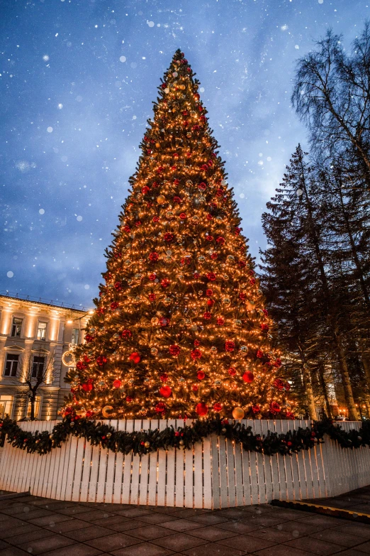 a christmas tree in front of a white fence, by Julia Pishtar, pexels contest winner, moscow kremlin, massive wide trunk, evening, square